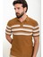 Çizgili Kamel Slim Fit Polo Yaka Erkek Triko T-Shirt 3