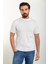 Düz Ekru Slim Fit Bisiklet Yaka Erkek Triko T-Shirt 1