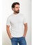 Düz Ekru Slim Fit Bisiklet Yaka Erkek Triko T-Shirt 3
