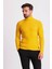 Çizgi Desenli Sarı Slim Fit Tam Balıkçı Yaka Erkek Triko Kazak 1