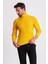Çizgi Desenli Sarı Slim Fit Tam Balıkçı Yaka Erkek Triko Kazak 4