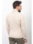 Çizgili Bej Rengi Slim Fit Yarım Balıkçı Yaka Yün Erkek Kazak 5