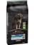 Pro Plan Large Kuzulu 14 kg Büyük Irk Köpek Maması 1