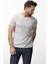 Desenli Açık Gri Slim Fit Bisiklet Yaka Basic Erkek T-Shirt 4