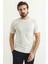 Çizgili Ekru Rengi Slim Fit Bisiklet Yaka Erkek T-Shirt 4