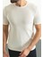 Çizgili Ekru Rengi Slim Fit Bisiklet Yaka Erkek T-Shirt 5