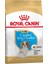 Royal Canin Cavalier King Charles Puppy Yavru Köpek Kuru Maması 1,5 KG(SKT.12.2023) 1