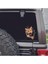 Kedi 3D Sticker Uv Soğuk Baskı Etiket Oto Aksesuar Suv Otomobil Motor Elektrikli Bisiklet 2