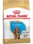 Royal Canin Cocker Yavru Köpek Kuru Maması 3 KG(STT.12/2024) 1