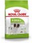 Royal Canin x Small Adult Küçük Irk Yetişkin Köpek Maması 3 kg 3