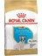 Royal Canin French Bulldog Yavru Köpek Kuru Maması 3 kg (STT:07/2025) 1