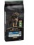 Proplan Large Breed Kuzu Etli Pirinçli Büyük Irk Yetişkin Köpek Maması 14KG(STT.06/2025) 1