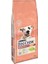 Dog Chow Adult Sensitive Somonlu Yetişkin Köpek Maması 14 KG(STT.04/2025) 1