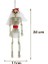 Halloween Iskelet Gelin 40CM AST6706 4