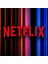 Netflix Hediye Kartı 500 TL 2