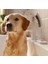 Dogshower Köpek El Duşu 150 3 Jet Beyaz 26640700 4