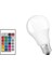 9W Rgb Ampul (Uzaktan Kumandalı - Günışığı) 1
