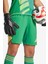 T24 P Gk Sho ADIS5346 Yeşil Erkek Futbol Şortu 1