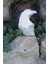 Silver White Kartal 5