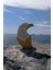 Golden White Kartal 3
