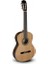 Klasik Gitar MOD-201 1