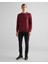 Erkek Bordo Regular Fit Bisiklet Yaka Kazak 8030561.638 3