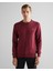Erkek Bordo Regular Fit Bisiklet Yaka Kazak 8030561.638 1