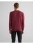 Erkek Bordo Regular Fit Bisiklet Yaka Kazak 8030561.638 2
