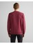Erkek Bordo Regular Fit Bisiklet Yaka Logolu Sweatshirt 2015085.638 2