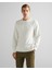 Erkek Krem Regular Fit Bisiklet Yaka Logolu Sweatshirt 2015085.113 1