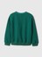 Erkek Bebek Yeşil Gap Logo Vintage Soft Sweatshirt 2