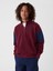 Erkek Çocuk Kırmızı Gap Logo Yarım Fermuarlı Pullover Sweatshirt 1