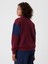 Erkek Çocuk Kırmızı Gap Logo Yarım Fermuarlı Pullover Sweatshirt 5
