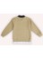 Erkek Çocuk Yakalı Bej Sweatshirt 2