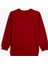 Dinozor Baskılı Sweatshirt Bisiklet Yaka 2