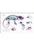 The Science Of Animals: Inside Their Secret World (Hardcover) (Ciltli) 3