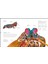 The Science Of Animals: Inside Their Secret World (Hardcover) (Ciltli) 7