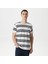 Erkek Beyaz Standart Fit Kısa Kollu Çizgili T-Shirt V45245T.1MA 1