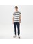 Erkek Beyaz Standart Fit Kısa Kollu Çizgili T-Shirt V45245T.1MA 3