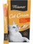 Cat Snack Multi Vitamin Cream Kedi Ödülü (6X15 Gr) x 3 Kutu 1