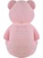 Yavrulu Ayı 95 cm Pembe Kalpli Pelüş Ayı Sevgiliye Hediye 3