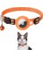 Airtag Kedi Çan Tasması (Yurt Dışından) 1
