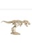 T-Rex Iskeleti 1