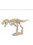 T-Rex Iskeleti 3