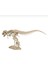 T-Rex Iskeleti 5