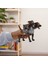 13990 Schleich - Fluffy - Harry Potter Serisi +3 Yaş 2