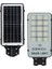 Forlife 300 W Solar Sokak Armatürü 1