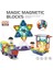 Learning Fun Magic Magnetic Blocks 100 Parça Manyetik Oyuncak Bloklar Seti 1