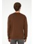 U.S. Polo Assn. Erkek Kahverengi Sweatshirt 50295148-VR029 5