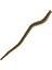 Gulp Alive Saltwater Sandworm CAMO-15CM 1